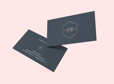 Business Card Beauty salon branding business card design graphic design illustrator logo