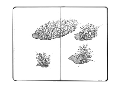 Sketchbook_02 artwork cone design forest illustration ink nature simple sketch sketchbook