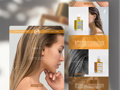 Brand spotlight - promo email design beauty brand clean cosmetic design email hair care minimalistic promotions template
