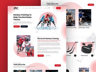 DV Hockey Training web design