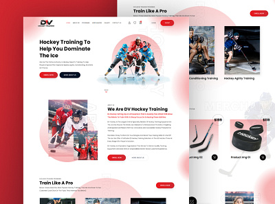 DV Hockey Training web design