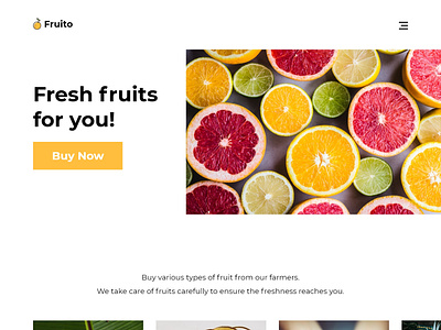 Fruito - Web minimalist ui design web design