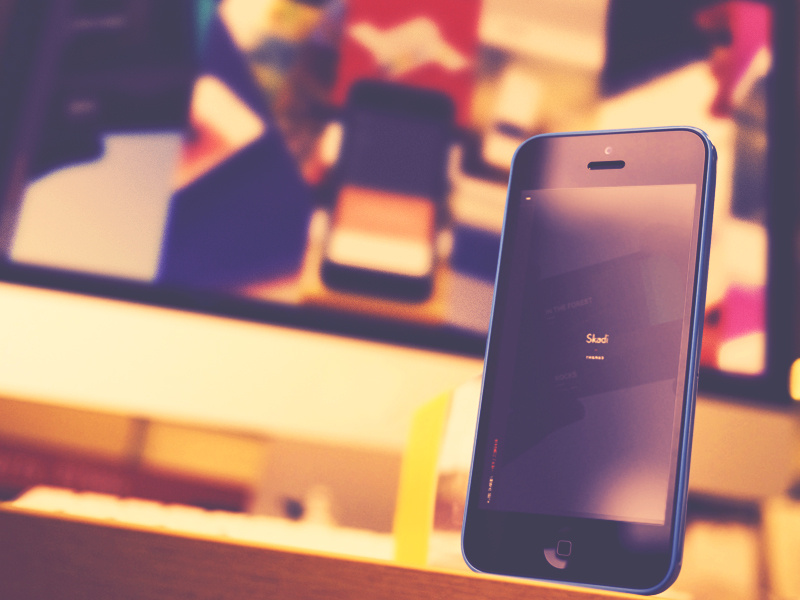 Dribbble shot