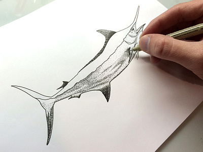 BWC.Process.1 design drawing illustration ink marlin pen steven skadal stippling