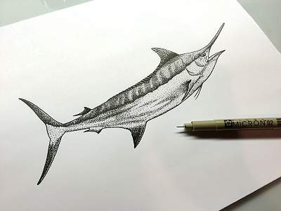 Bwc.Process.2 design drawing illustration ink marlin pen steven skadal stippling