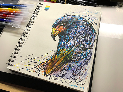 Eagle Color.Sketch 800x600 bird brush pen color drawing eagle illustration ink pen pencil sketch sketchbook steven skadal