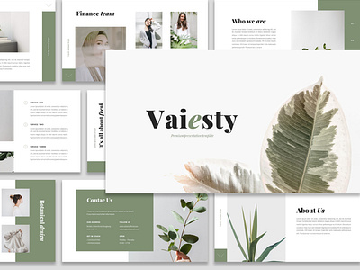 Vaiesty - Presentation