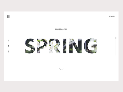 Spring collection concept collect ui collection concept ecommerce first screen fonts shop spring type typography ui uiux ux webdesign
