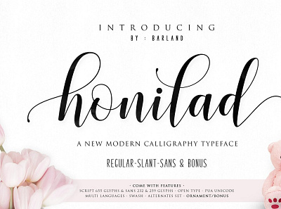 Honilad Script | 5 Font & Bonus calligraphy calligraphy font fontscript hipster