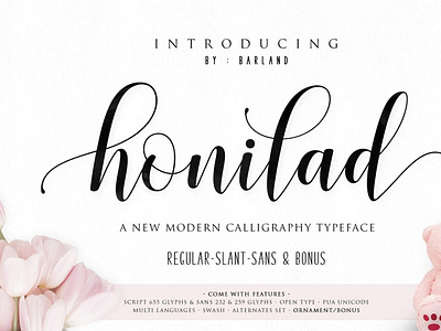 Honilad Script | 5 Font & Bonus