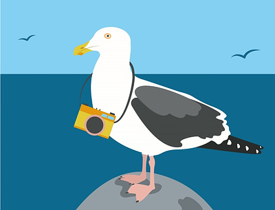 Travelling seagull animals bird blue camera childrens book hello illustration seagull seagulls travelling travelling app vector
