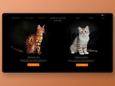 Saler cuties cattery cat cats design invitation sketch app web web deisgn