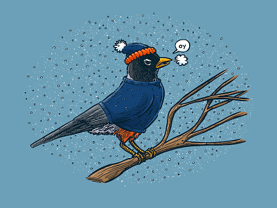 Annoyed IL Birds: The Robin annoyed bird chicago il illinois illustration midwest robin winter