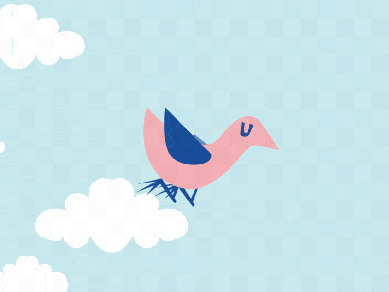 Little Birdy that could!!! animation design motion graphics
