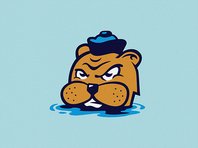 Southpaw the Sea Otter baseball branding branding design design graphic design illustration illustrator logo otter