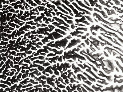 Silver experiments [3] argentic argentique black and white desin experimental farjas felix graphic design photography silver