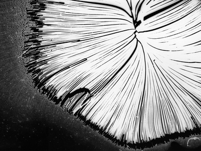 Silver experiments [10] argentic argentique black and white desin experimental farjas felix graphic design photography silver