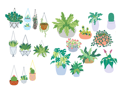 Plants / Hanging Plants art digital flora green illustrations leaves plants pots