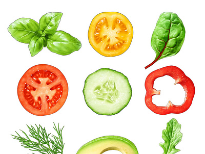 Vegetable illustrations for Gooh Food avocado basil chard cucumber paprika tomatoe