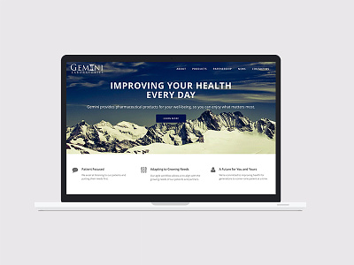 Gemini Laboratories branding design marketing pharmaceuticals website