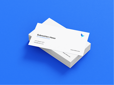 Business Card branding design graphic design illustration logo