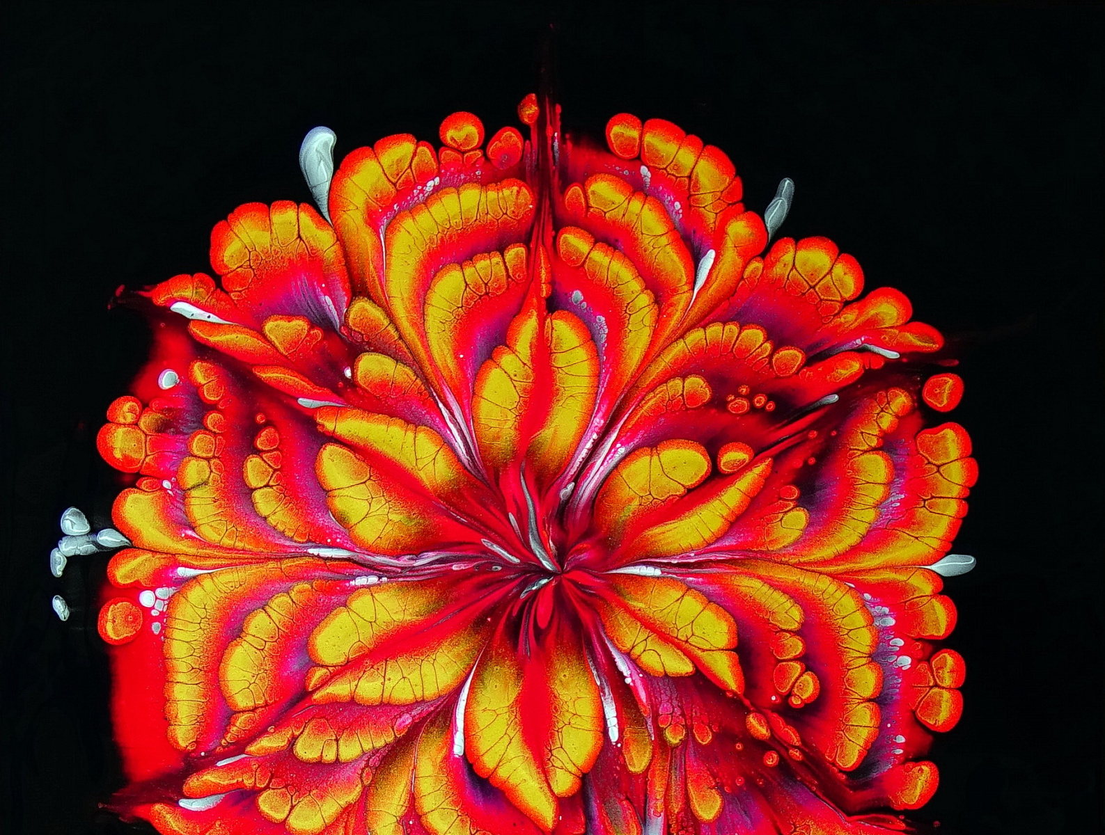 Simple CUP BOTTOM acrylic pour FLOWER painting ONLY 5 colours by Fiona