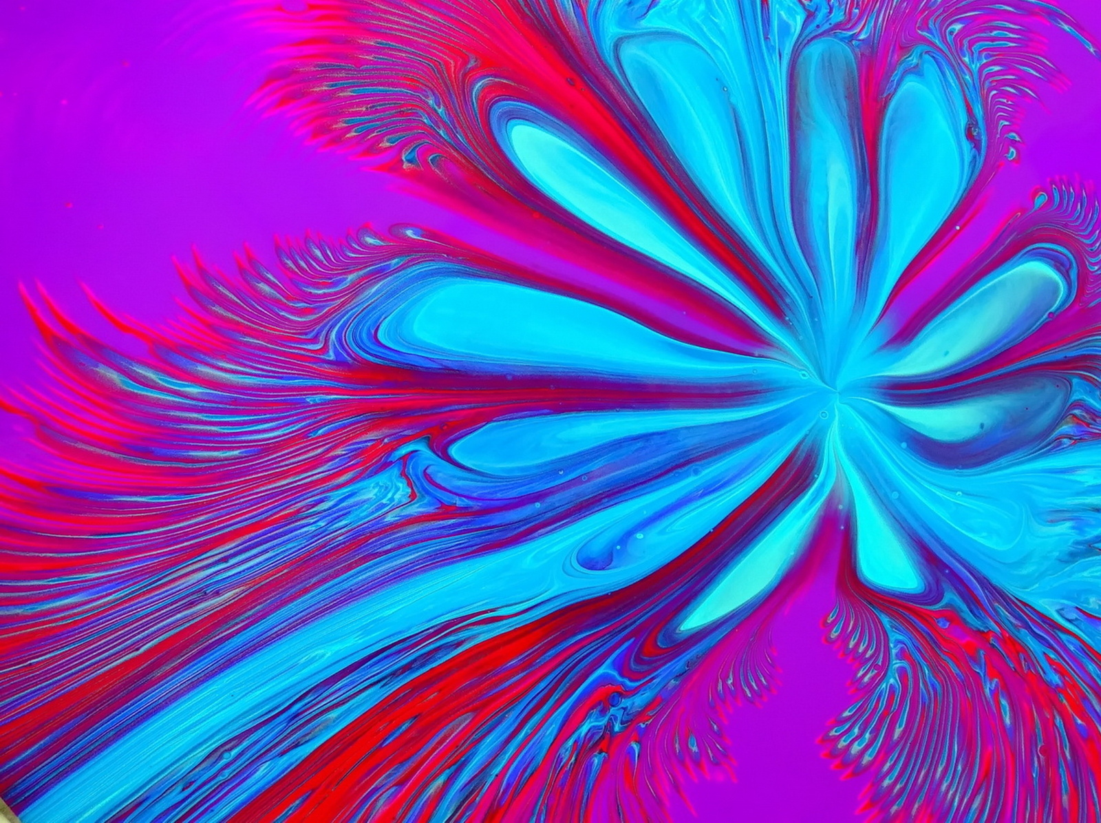 3 cups STRAIGHT POUR over the CUP BOTTOM Acrylic pour painting by