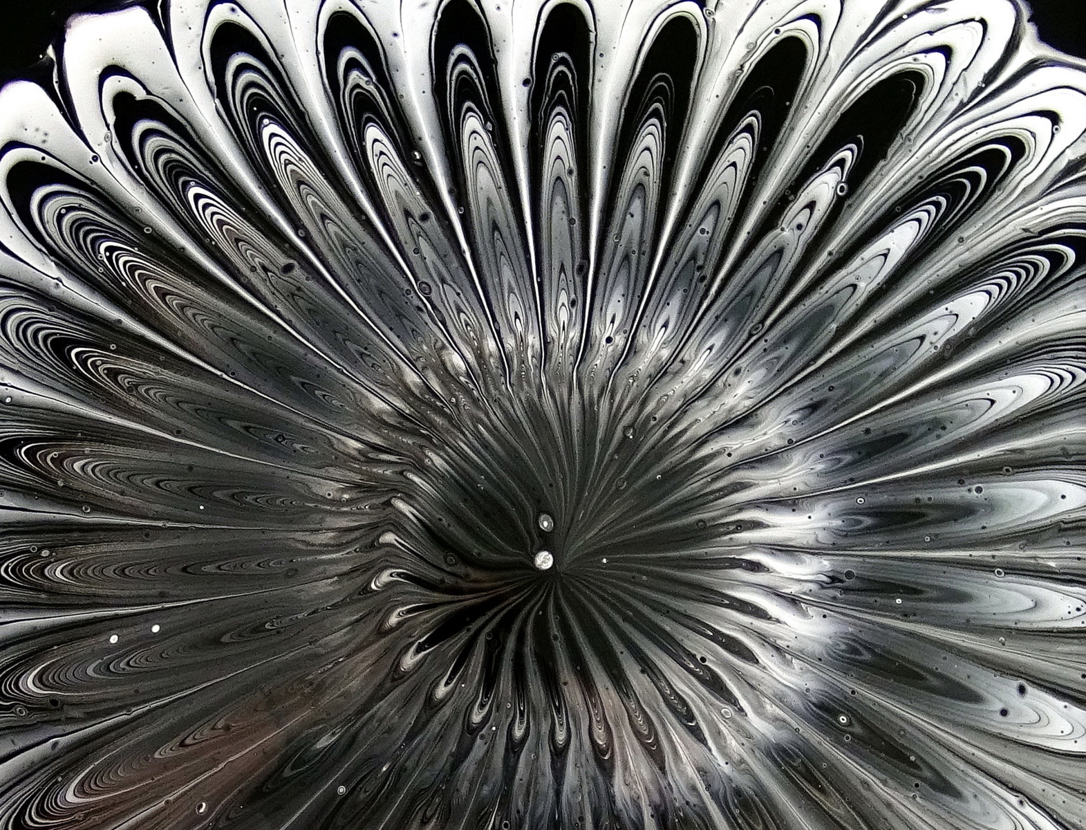 Black🖤 & White🤍 STRAINER pour Acrylic pour painting Paint by Fiona