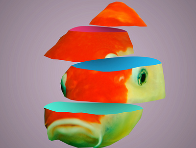 Koi Fish design