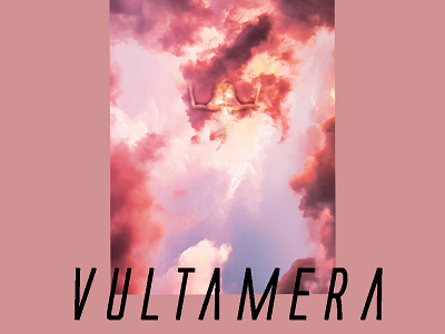 Vultamera