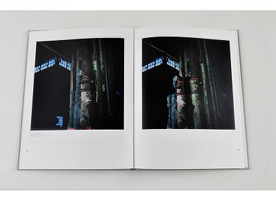 Behind The Appearances art book catalogue exhibition holger trulzsch print vera lehndorff