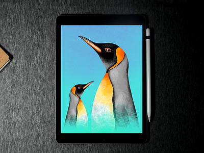 penguin 🐧 Digital illustration in iPad pro | procreate