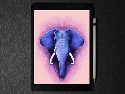 Elephant 🐘 illustration in ipad pro | procreate