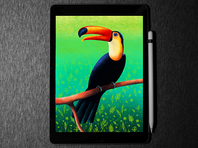 Toucan 🐦 bird illustration in procreate bird illustration ipadpro procreate toucan wildlife
