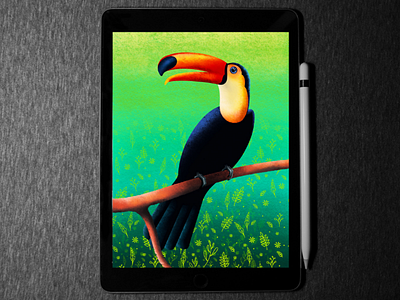 Toucan 🐦 bird illustration in procreate