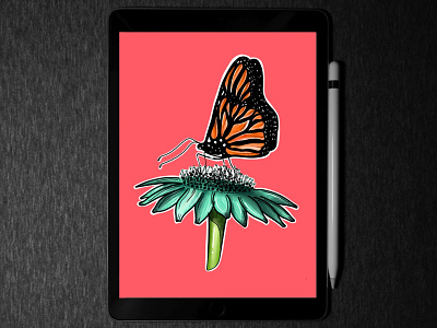 Butterfly 🦋 illustration in iPad pro digitalart flatillustration illustration ipadpro ipadproart procreate