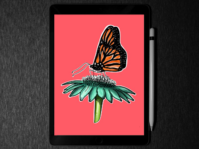 Butterfly 🦋 illustration in iPad pro