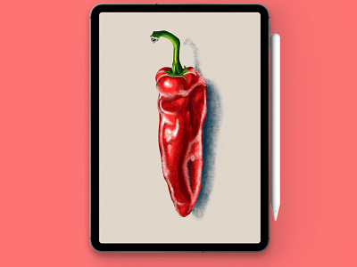 Realistic Chili 🌶️ Procreate illustration in procreate