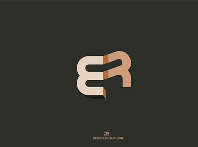 ER 3d adobe illustrator bradning design logodesign mark typography vector