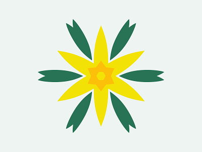 Daffodil Starflower (Yellow-Green)