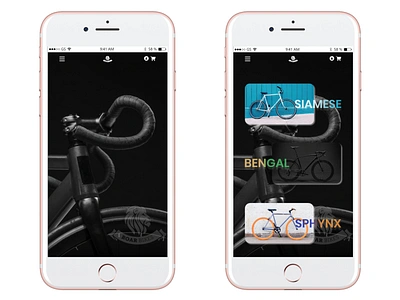 Roar Bikes - e-commerce website for a bicycle company adobe xd art design ecommerce minimal mobile ui ui ux ux ui web design