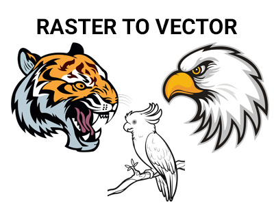 Raster to vector graphic design illustrator image to vector raster to vector vector art vector design vector line