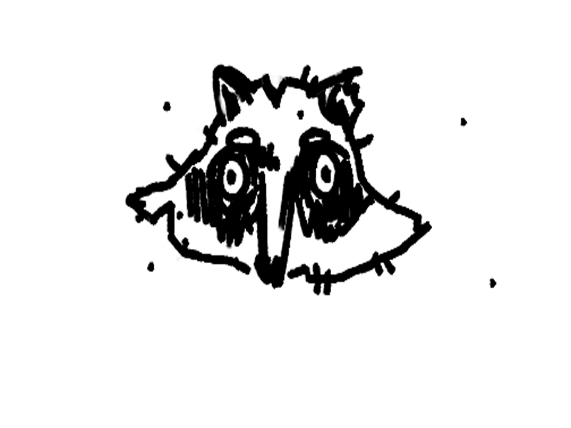 racoon gif adobe photoshop digital sketch gif head illustration raccoon sketch