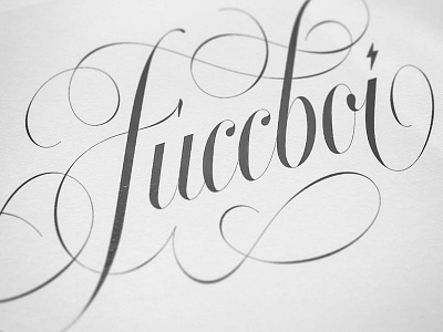 Fuccboi calligraphy handlettered handlettering lettering logo logotype script type typography