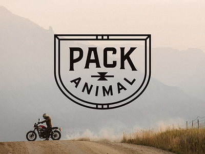Pack Animal branding lettering logo typography