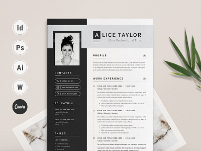 Resume Template | Word & Canva