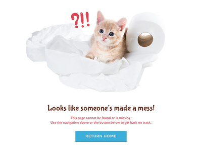 Cute Kitten 404 Error Page 404 cat copywriting ecommerce error kitten messy page pets trouble volusion