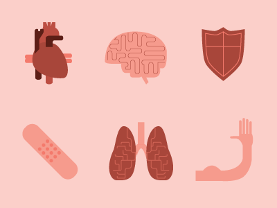 Anatomyicons