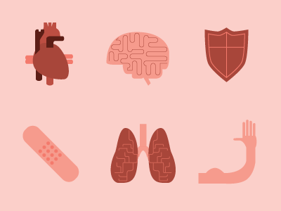 Anatomy Icons anatomy arm bandaid brain graphic design heart icon pack icons illustration lung vector vector art