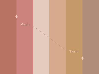 Zänä Alquimia – Color Palette branding color color palette design illustrator logo minimal
